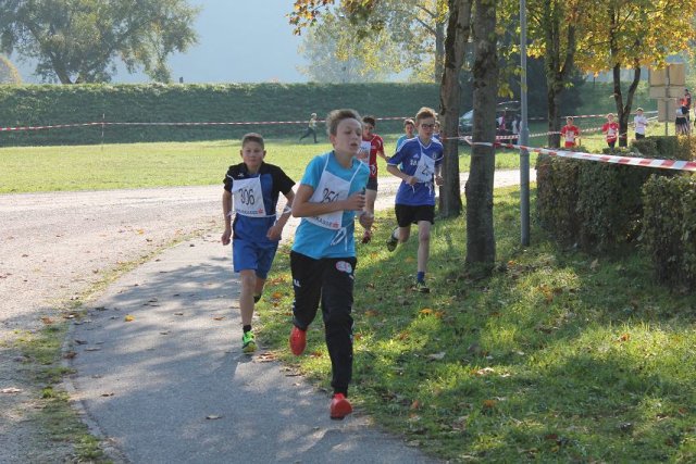 crosscountry_2015 83